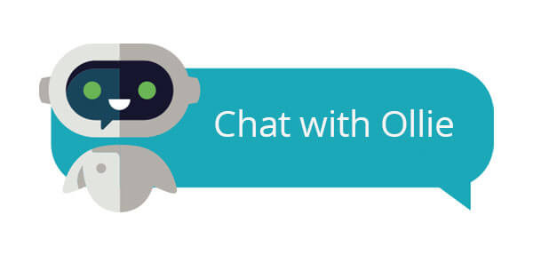 Image ofOllie Chat Bot